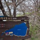 동읍459 이미지