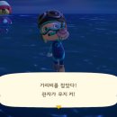 미친가리비