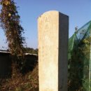 어도(魚島) 이미지