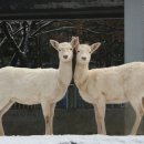 문치과병원 이미지