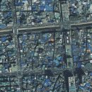 코끼리들이 웃는다 이미지