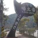 여수힐링펜션 이미지