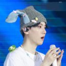 플랑(FLAN) 이미지