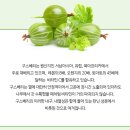 과일에서 추출한 무부형제 메디타민 파이토 비타민C 450 후기!