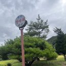 동강별아래 이미지