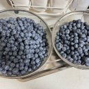 산덕농장 이미지