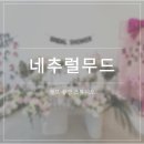 네추럴존 | 네추럴무드 스튜디오 후기｜크리스마스 셀프 촬영부터 프라이빗 파티까지 가능한 셀프 사진관