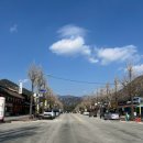 의용소방대-369 삼겹살 | 보은 속리산 사내리 야영장 애견 동반 차박캠핑 후기