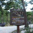 국립용화산자연휴양림 이미지