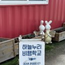 누리 | 서울 근교 액티비티 화성 하늘누리 경비행기 조종 체험 후기