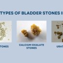 사직동물의료센터 이미지