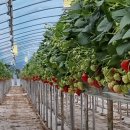 동헌농장 이미지