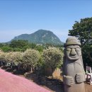 제주 수국 명소 찾는다면? 마노르블랑 수국축제 직접 가본 후기 마루네정원