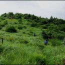 고개농장 이미지