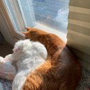 반곡중앙약국 이미지