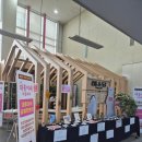 편백나무아래 이미지