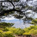 아차산떡볶이도시락 이미지