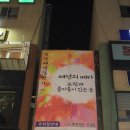 상록수패션 이미지