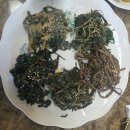 청라밝은의원 이미지