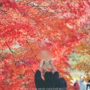 마곡사입구(일주문) 화장실 | 공주 마곡사 단풍 명소 주차장 11월 여행지