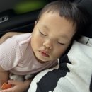 종운로 | 임실) 전주 근교 아이와 함께 놀러가기 좋은 분위기 좋은 카페 &#34;미텐발트&#34; 방문 후기!!