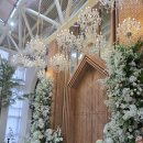 (주)바실리움 이미지