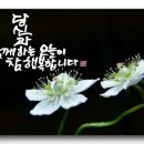 루비 이미지