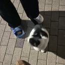 사랑아 <b>나비</b>해~????