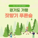 가자숲으로 이미지