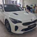 에스(S)게러지 이미지