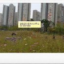 가재울중앙공인중개사사무소