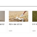 (주)하나에프앤드엘