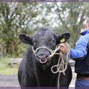 강남한의원 이미지