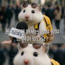 (주)코리아세븐 송도월드마크1단지점 | [🍊 타임머신] 샌애기 아닙니다, 나는 조교(?!)