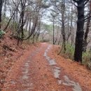 화양산 황단 이미지
