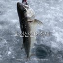 강원도 화천 가볼만한곳 &#39;얼음나라화천 산천어축제&#39; 얼음낚시