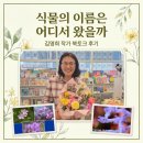 김영희 작가 북토크 후기, 『식물의 이름은 어디서 왔을까』 책방 눈사람에서 만난 식물 이름 이야기