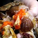 삼대인천게장 이미지