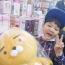 라이언상사 이미지