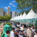 고려대학교(세종) 일반대학원 이미지