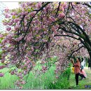 월곡역사공원 이미지