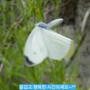 구월1동-17 이미지