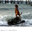 폼잡는개 이미지