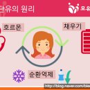 단유통 네이버블로그