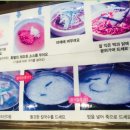 공릉동 닭한마리 - 포천시 | 공릉동 닭한마리