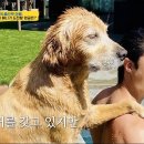 다니엘 농장 이미지