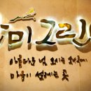 단미스토리