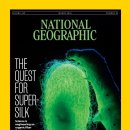 pet04나3710 이미지