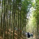 영취산 민박 이미지