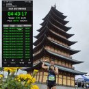 꼴지 완주자 가입후 첫 42.195km 풀마라톤 후기 이미지